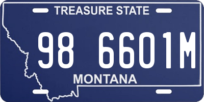 MT license plate 986601M
