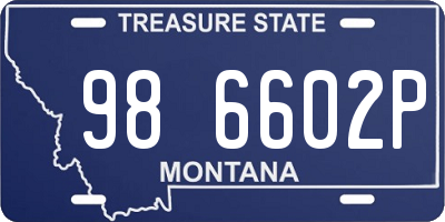 MT license plate 986602P