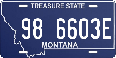 MT license plate 986603E