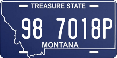 MT license plate 987018P