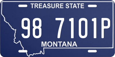 MT license plate 987101P