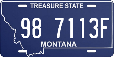 MT license plate 987113F