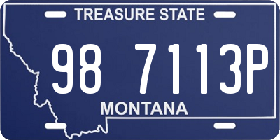 MT license plate 987113P
