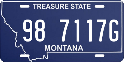 MT license plate 987117G