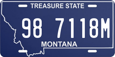 MT license plate 987118M