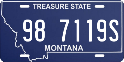 MT license plate 987119S