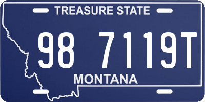 MT license plate 987119T