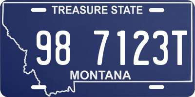 MT license plate 987123T