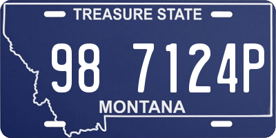MT license plate 987124P