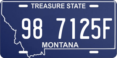 MT license plate 987125F