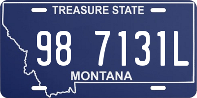 MT license plate 987131L