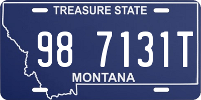 MT license plate 987131T