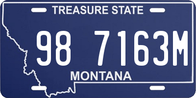 MT license plate 987163M