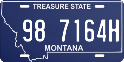 MT license plate 987164H