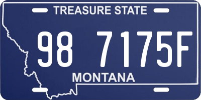 MT license plate 987175F