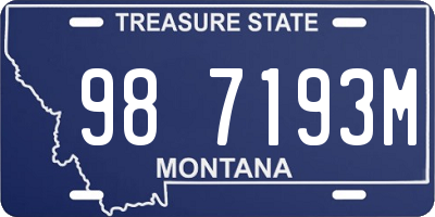 MT license plate 987193M