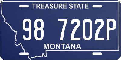 MT license plate 987202P