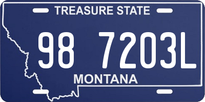 MT license plate 987203L