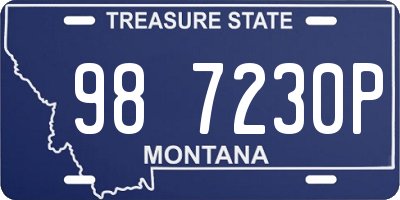 MT license plate 987230P