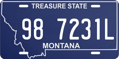 MT license plate 987231L