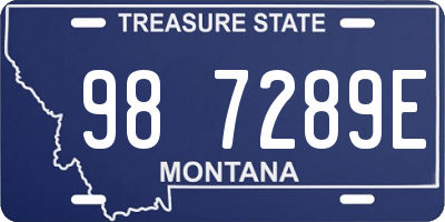 MT license plate 987289E
