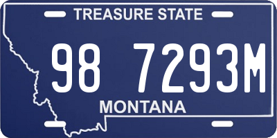 MT license plate 987293M