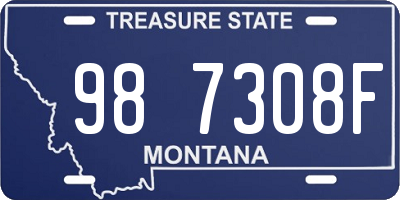 MT license plate 987308F