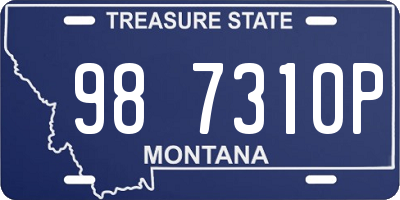 MT license plate 987310P
