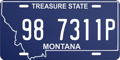 MT license plate 987311P