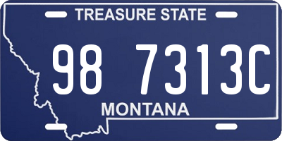 MT license plate 987313C