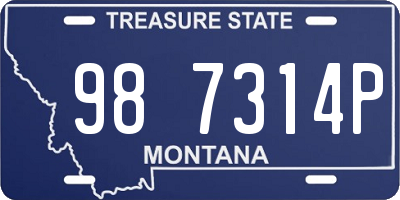 MT license plate 987314P