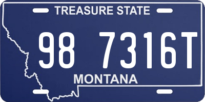 MT license plate 987316T