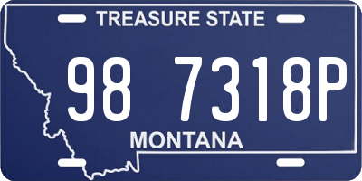 MT license plate 987318P