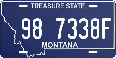 MT license plate 987338F