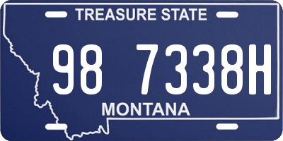 MT license plate 987338H