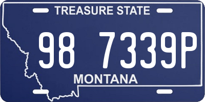 MT license plate 987339P