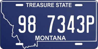 MT license plate 987343P