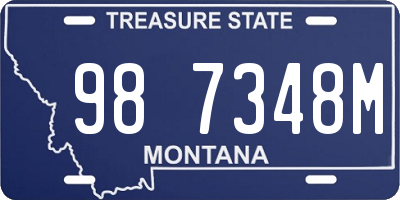MT license plate 987348M