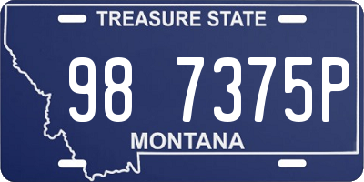 MT license plate 987375P