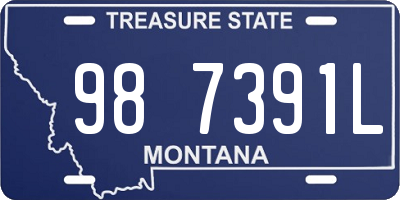 MT license plate 987391L