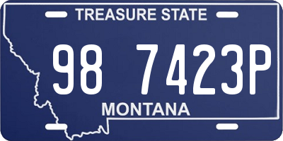 MT license plate 987423P