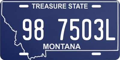 MT license plate 987503L