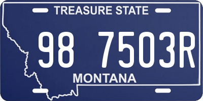 MT license plate 987503R