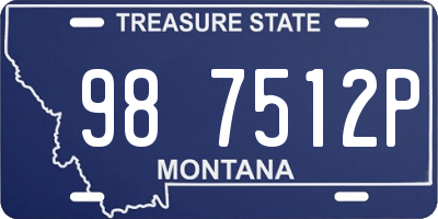 MT license plate 987512P