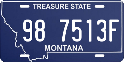 MT license plate 987513F
