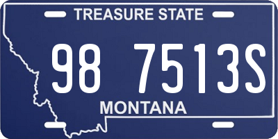 MT license plate 987513S