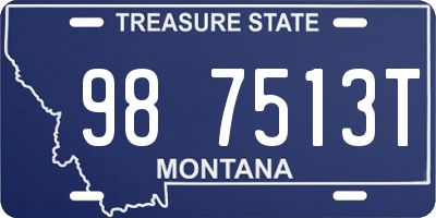 MT license plate 987513T