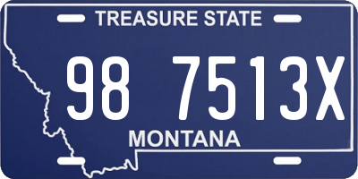 MT license plate 987513X