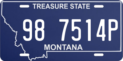 MT license plate 987514P