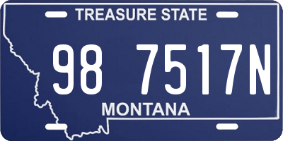 MT license plate 987517N
